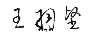 骆恒光王羽坚草书个性签名怎么写