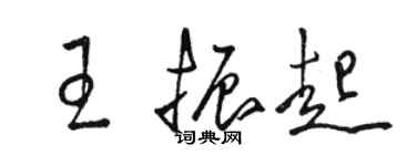骆恒光王振起草书个性签名怎么写