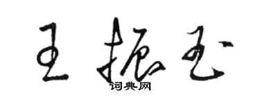 骆恒光王振玉草书个性签名怎么写