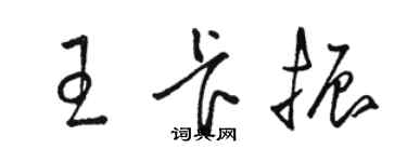 骆恒光王卡振草书个性签名怎么写