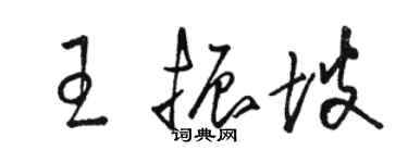 骆恒光王振坡草书个性签名怎么写