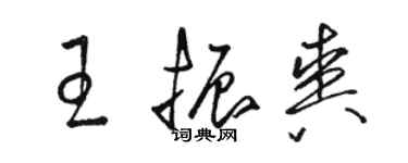 骆恒光王振爽草书个性签名怎么写