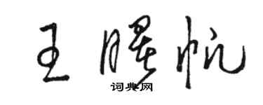 骆恒光王曙帆草书个性签名怎么写