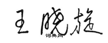 骆恒光王晓旋草书个性签名怎么写