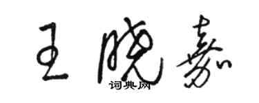 骆恒光王晓嘉草书个性签名怎么写
