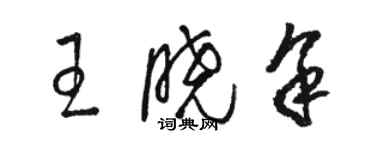 骆恒光王晓余草书个性签名怎么写