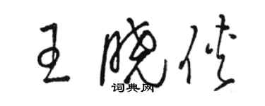 骆恒光王晓侠草书个性签名怎么写