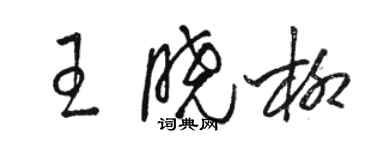 骆恒光王晓柳草书个性签名怎么写