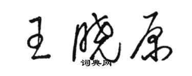 骆恒光王晓原草书个性签名怎么写