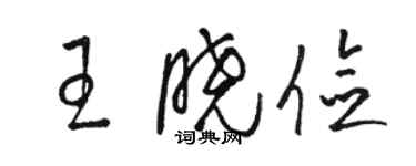 骆恒光王晓俭草书个性签名怎么写