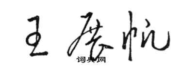 骆恒光王展帆草书个性签名怎么写