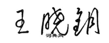 骆恒光王晓钥草书个性签名怎么写