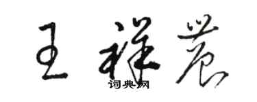 骆恒光王祥农草书个性签名怎么写
