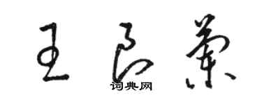 骆恒光王良兰草书个性签名怎么写