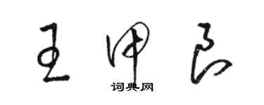 骆恒光王甲良草书个性签名怎么写