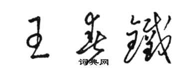 骆恒光王春铁草书个性签名怎么写