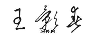 骆恒光王影春草书个性签名怎么写