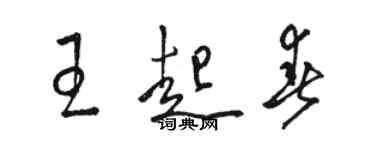 骆恒光王起春草书个性签名怎么写