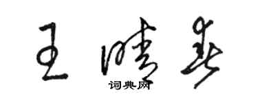 骆恒光王晴春草书个性签名怎么写