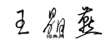 骆恒光王晶燕草书个性签名怎么写
