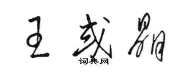 骆恒光王或晶草书个性签名怎么写