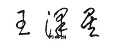 骆恒光王泽星草书个性签名怎么写