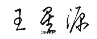 骆恒光王星源草书个性签名怎么写