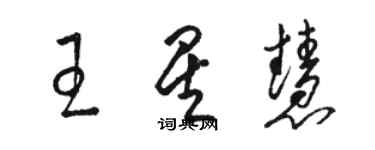 骆恒光王星慧草书个性签名怎么写
