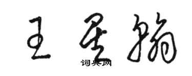 骆恒光王星翰草书个性签名怎么写