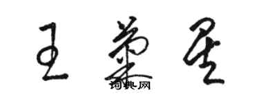 骆恒光王菊星草书个性签名怎么写