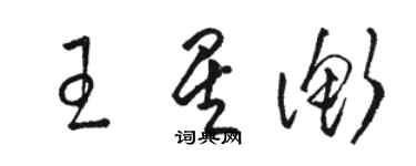 骆恒光王星衡草书个性签名怎么写