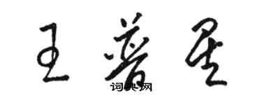 骆恒光王普星草书个性签名怎么写