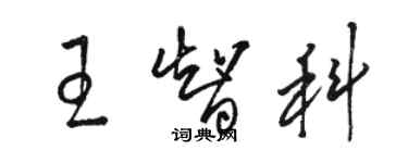 骆恒光王智科草书个性签名怎么写