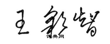 骆恒光王彩智草书个性签名怎么写
