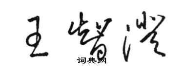 骆恒光王智澄草书个性签名怎么写