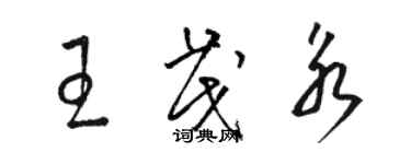 骆恒光王茂永草书个性签名怎么写