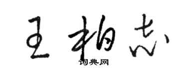 骆恒光王柏志草书个性签名怎么写