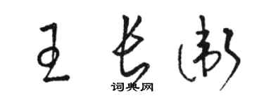 骆恒光王长卫草书个性签名怎么写