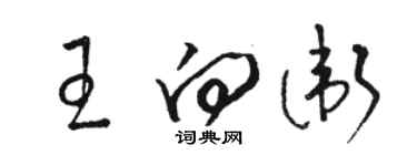 骆恒光王向卫草书个性签名怎么写