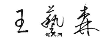 骆恒光王艺森草书个性签名怎么写