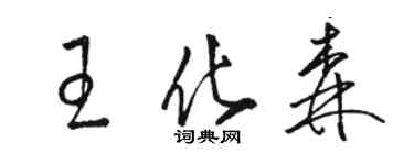骆恒光王化森草书个性签名怎么写