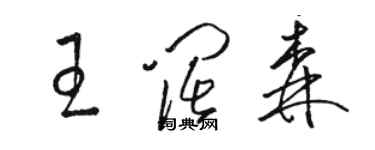 骆恒光王阔森草书个性签名怎么写