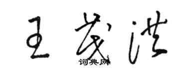 骆恒光王茂洪草书个性签名怎么写