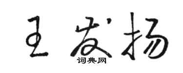 骆恒光王发扬草书个性签名怎么写