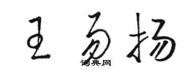 骆恒光王易扬草书个性签名怎么写