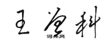 骆恒光王曾科草书个性签名怎么写