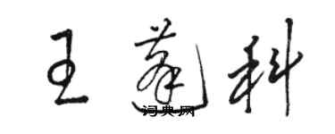 骆恒光王蓬科草书个性签名怎么写