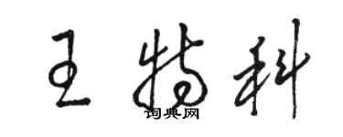 骆恒光王特科草书个性签名怎么写