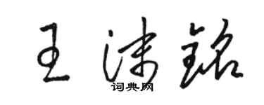 骆恒光王沫铭草书个性签名怎么写