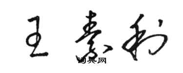 骆恒光王素利草书个性签名怎么写